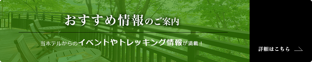 おすすめ情報のご案内